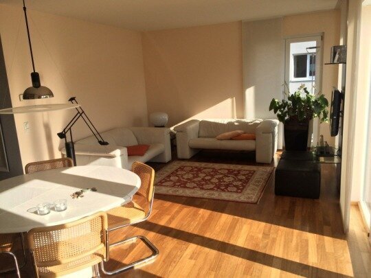 Helle Luxus-Wohnung in Bonn-Castell, citynah, ruhig im Park