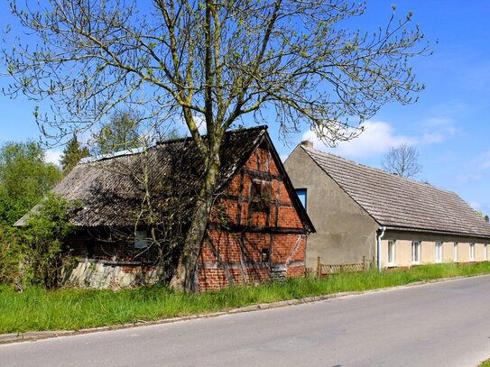 geräumiges Doppelhaus in ländlicher Idylle Nähe Grimmen