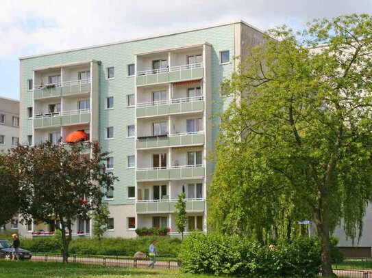 Schöne helle 2-Raumwohnung mit Nähe zum Bördepark