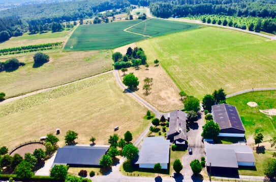 RESERVIERT - Traumhof für Tierhalter, bis zu 20ha arrondierter Weidefläche & Rheintal-Blick - Pferdehof Bauernhof Ferie…