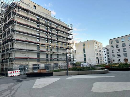 Ihre neuen Erfolgsflächen! Neubau- moderne, Büroflächen mit Schaufenstern in direkter Nähe zum Zollhafen