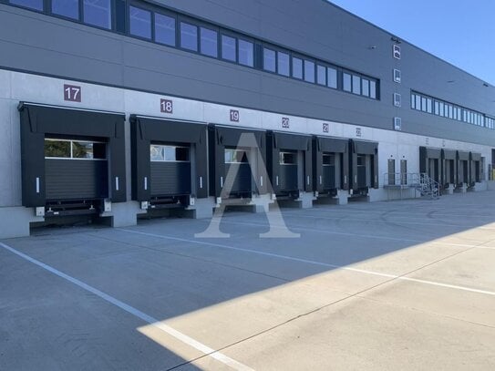 LOGISTIK IN EUSKIRCHEN | RAMPE & EBENERDIG | 12 M UKB | BEHEIZBAR