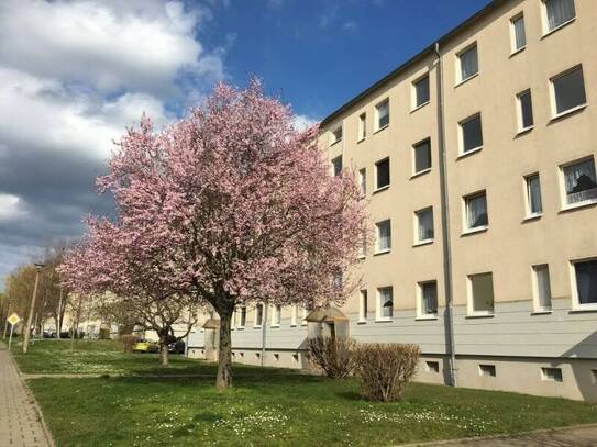1.OG mit Wanne