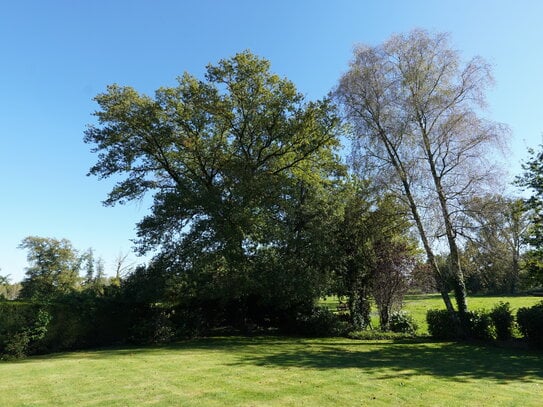 Bungalow auf Traum Grundstuck in Gronau