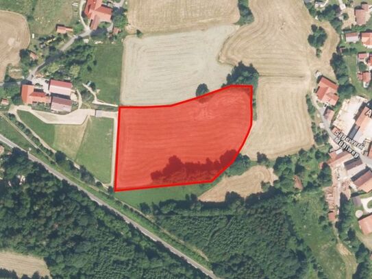 Verkaufe 1,43 ha Grünland/Ausgleichsfläche/Wiese in Zachenberg (REG)