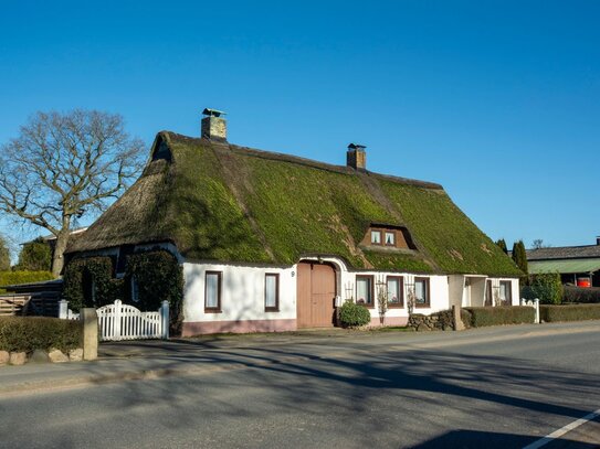 Ein Traum aus Reet in Schleinähe!