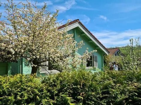 Gepflegtes Ferienhaus /Skandinavische Bauweise im Erholungsgebiet Niddastausee