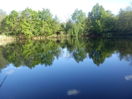 Ihr eigenes Fisch-Teichgrundstück mit 12.766 m²