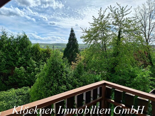 Familienfreundliche 5 Zi. Wohnung mit traumhafter Dachterrasse im Grünen