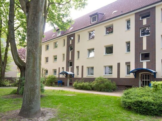 1-Zimmer-Wohnung in Hamburg-Wilhelmsburg