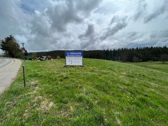 Im Alleinauftrag: Gewerbegrundstück, ca. 9.200 qm, in Feldberg-Falkau/Südschwarzwald zu verkaufen