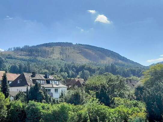 Sehr gepflegtes 3-Familienhaus auf schönem Eigentumsgrundstück in Goslar-Rammelsberg...