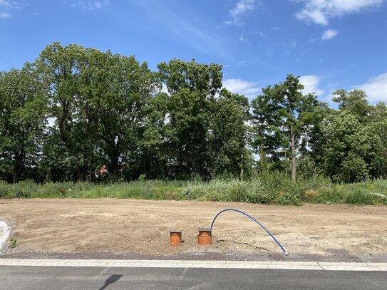 Der Blick ins Grüne aus Ihrem neuen ScanHaus!