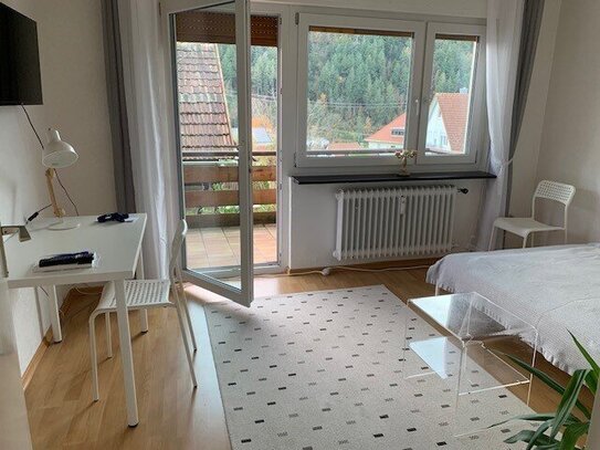 Helle 1Zm Wohnung mit einem großen Balkon