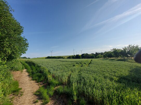 Top Baugrundstück in Wachenbuchen Feldrandlage mit unverbaubaren wunderschönen Naturausblick