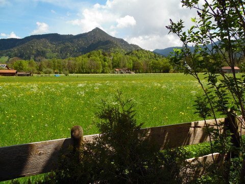 Gepflegte Doppelhaushälfte in ruhiger Wohnlage