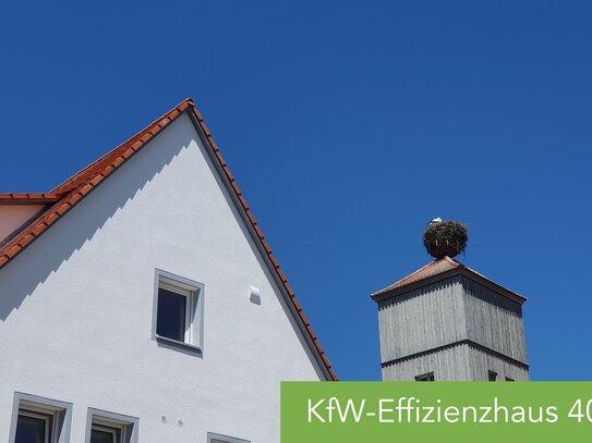 Klimafreundlicher Neubau - 2-Zimmer Whg mit Terrasse und Garten