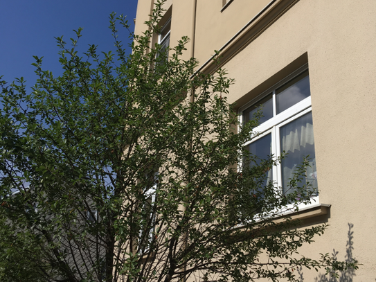 Große 2-Raum-Wohnung im Herzen von Stollberg mit Balkon