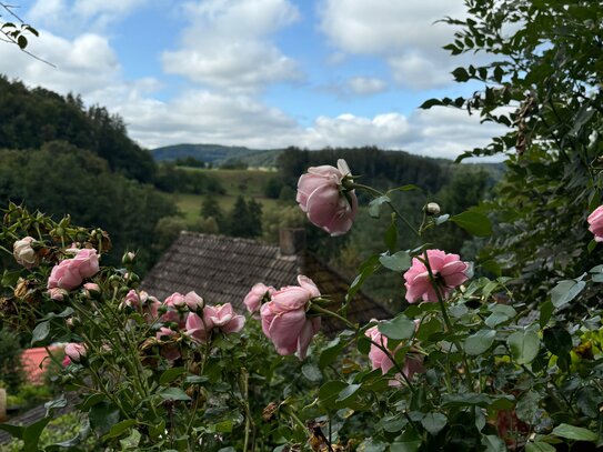 Raumwunder: gemütliches Haus mit 4 Zimmern und idyllischem Ausblick