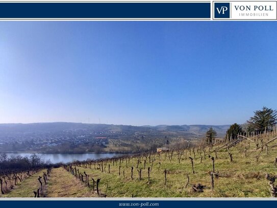 Gepflegte Wohnung mit Mainblick, Weitsicht und Weinbergsnähe in Veitshöcheim zu verkaufen