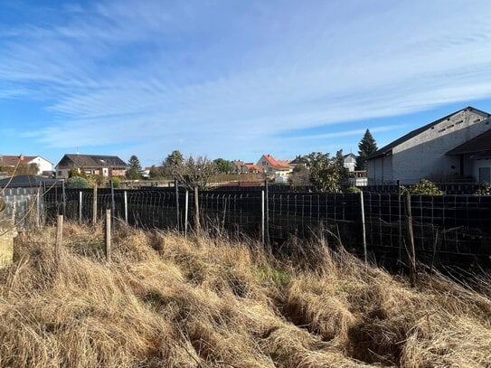 Bauen am Weinberg! Mit Burgblick