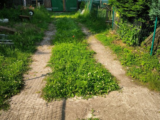 Gartenfläche in Nordgermersleben