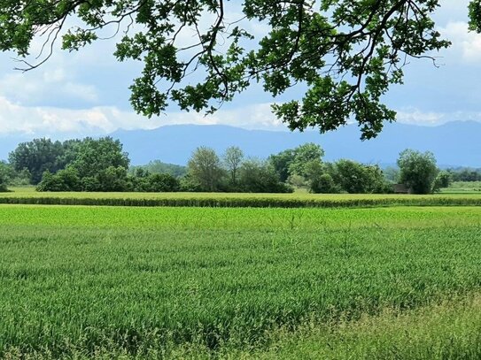 Exklusive Garten-Wohnung mit unverbaubarem Bergblick, Weilheim