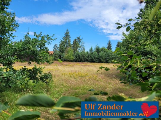 wunderschönes, großes Baugrundstück (4.885 m²) für 3 bis 4 Einfamilienhäuser oder Mehrfamilienhaus in Bad Bodenteich