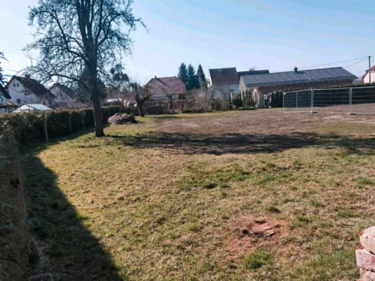 Zentrales Baugrundstück in Struppen - Bauen zwischen Dresden und der Sächsischen Schweiz
