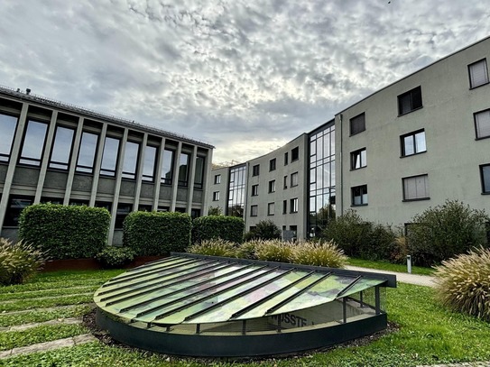 Lichtdurchflutet und modern - Stilvolle Erdgeschosswohnung in ruhiger Lage