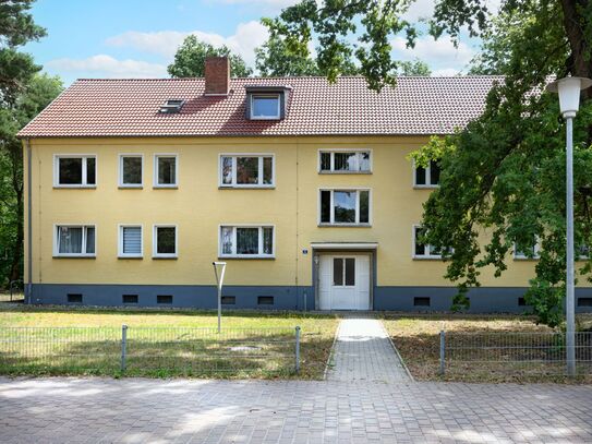 +++ Familienglück am Waldrand mit Balkon und EBK+++