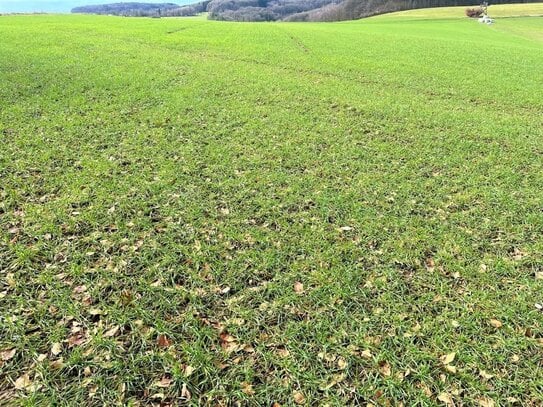 Grünland, Ackerland und Wald in Windeck und Hamm (Sieg)