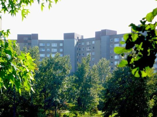 1,5-Zimmer-Wohnung mit Ausblick in Darmstadt-Kranichstein