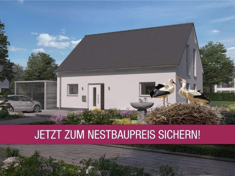 Einladend offen auf ca. 600m² Grundstück in Hellerau