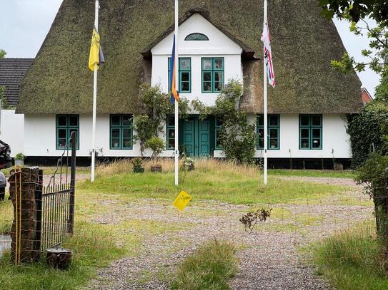 Großzügige reetgedeckte Anlage mit Wohnhaus, separatem Ferienhaus, Pferdestall und umgebautem Lagerhaus in Mildstedt