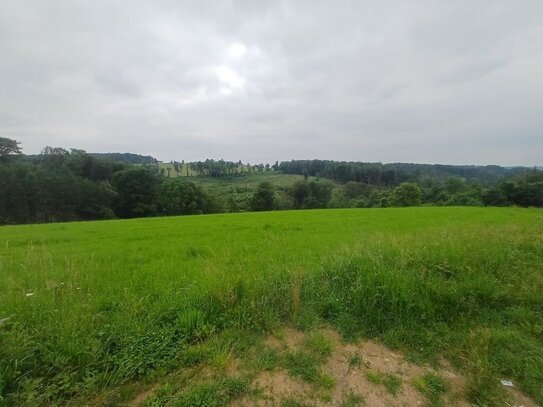 Zwischen Hennef und Ruppichteroth: Naturnahes Grundstück mit schönem Ausblick am Ortsrand