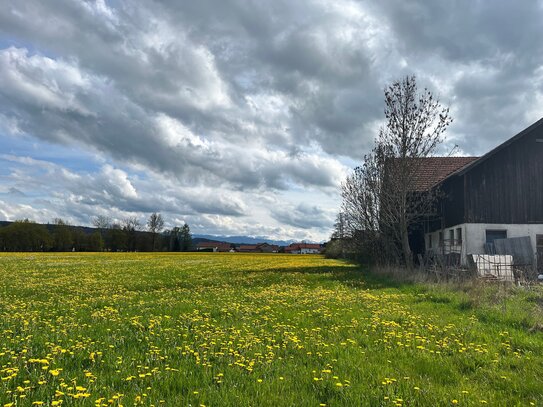 Bauland für Investoren und Bauträger