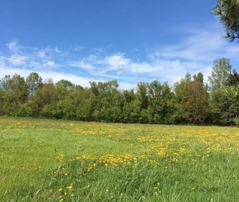 BAUEN SIE SICH AUF DIESEM SONNIGEN GRUNDSTÜCK IHR FAMILIENZUHAUSE FÜR EIN GLÜCKLICHES LEBEN! TEL. 01714863595