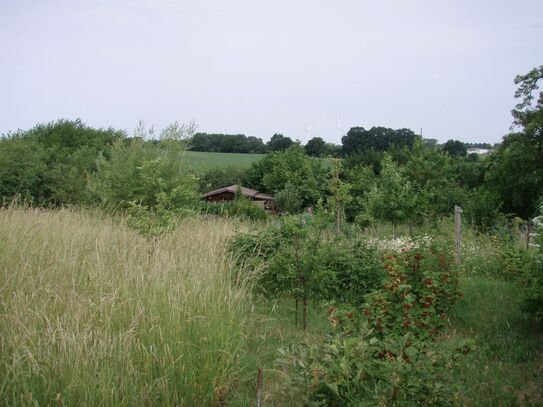 *Baugrundstück mit Ferienhaus in zweiter Reihe im Carinerland - Idyllische Lage im Ostseehinterland *