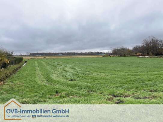 Grünlandfläche in Bunde Wymeer