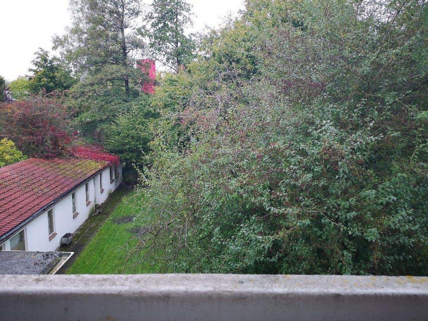 2Zi.-Wohnung in Findorff - Innsbruckerstr.