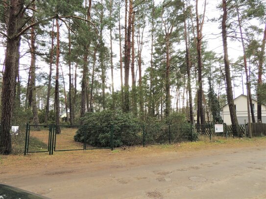 Baugrundstück mit vorhandenem Bungalow, Carport, Schuppen