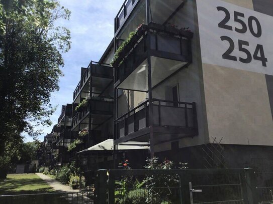 Frisch modernisierte 2-Zimmer-Wohnung mit Balkon!