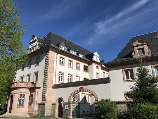 Stilvoll wohnen im Kulturdenkmal - Große 4 Raum WE in Fabrikantenvilla am Stadtpark mit Loggia, Südbalkon und Tageslich…