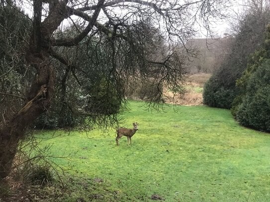 Im Norden von Hamburg in Top Lage die Natur genießen!