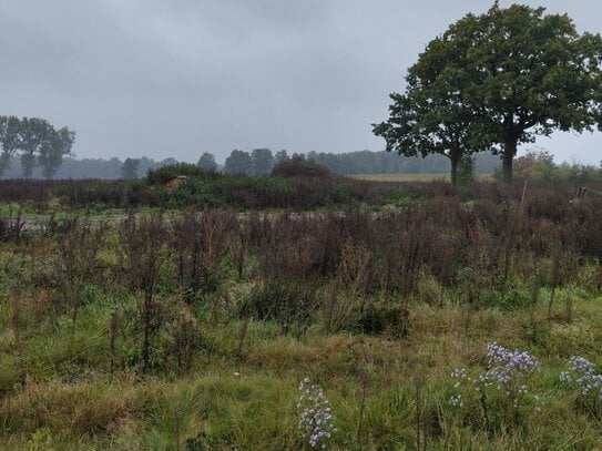 Baugrundstück in Naturlage