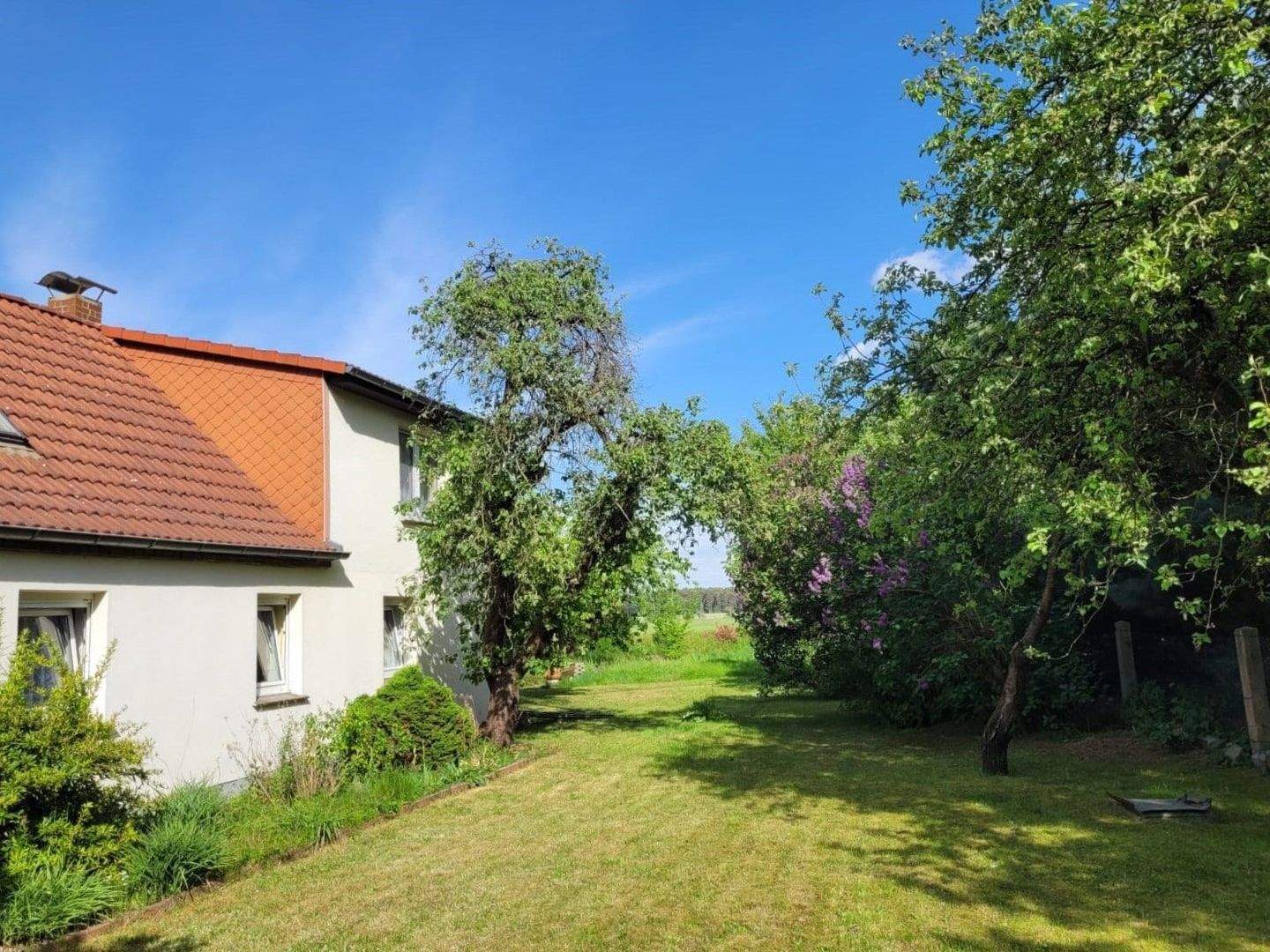 Immobilie in Neuhausen/Spree - Bauernhof gesucht? Gefunden! - Bild 0