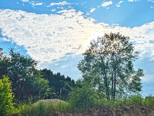 Erstbezug im König-Albert-Park