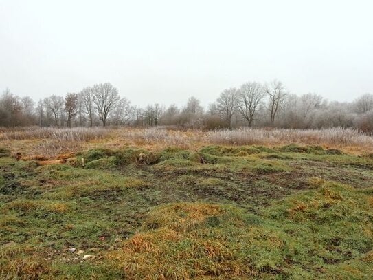 0 % Käuferprovision! Knapp 30.000 m² Liegenschaft in ländlicher Lage!