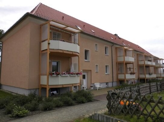 Wunderschöne 2 Raumwohnung in modern saniertem Mehrfamilienhaus